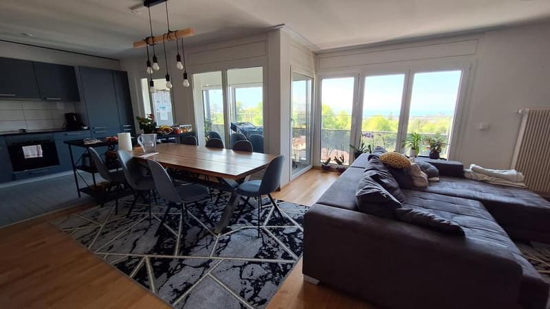 Appartement lumineux avec vue (5)