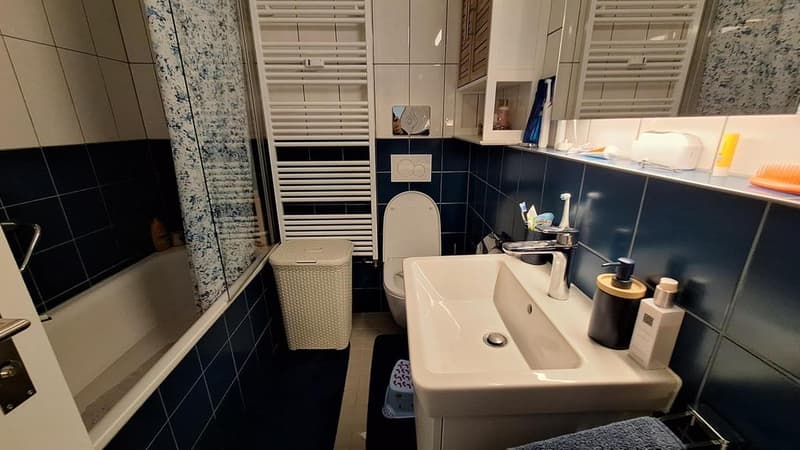 Appartement lumineux avec vue (6)
