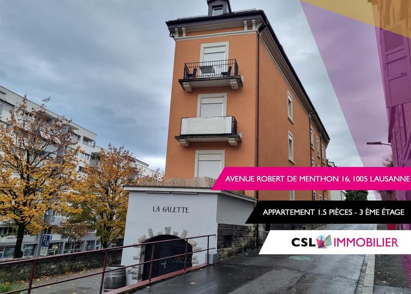 Appartement au coeur de Lausanne (1)