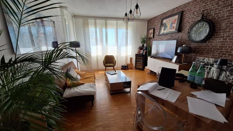 Logement avec vue sur le lac (5)