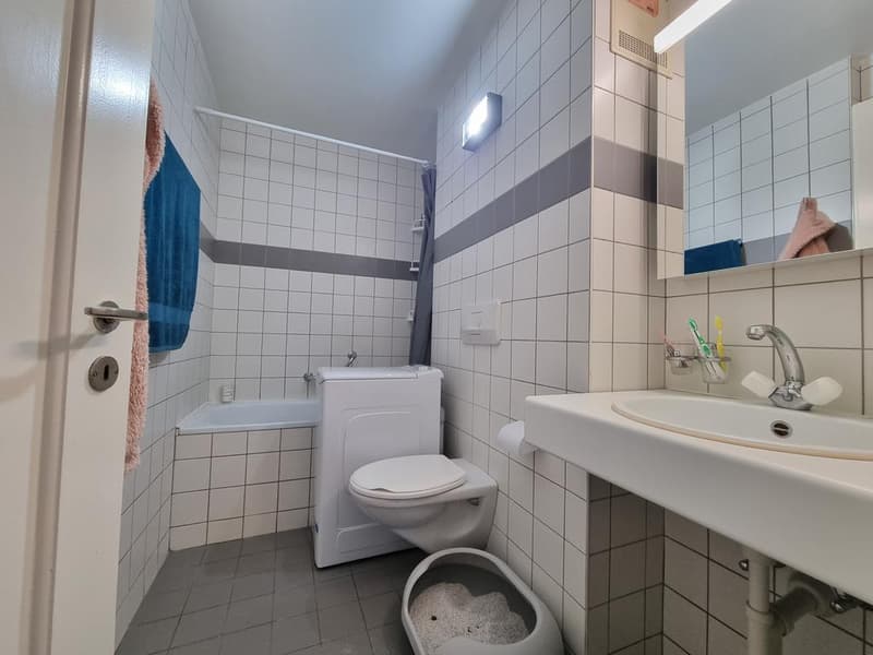 charmant appartement à Lausanne Vennes (4)