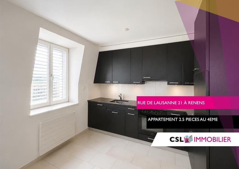 Charmant appartement au coeur de Renens (1)