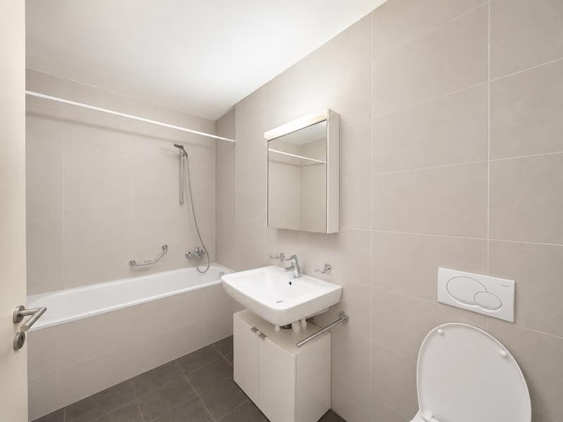 Charmant appartement au coeur de Renens (4)