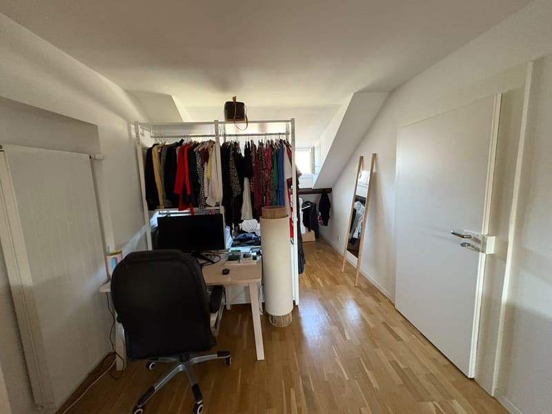 Charmant appartement au centre de Lausanne (4)