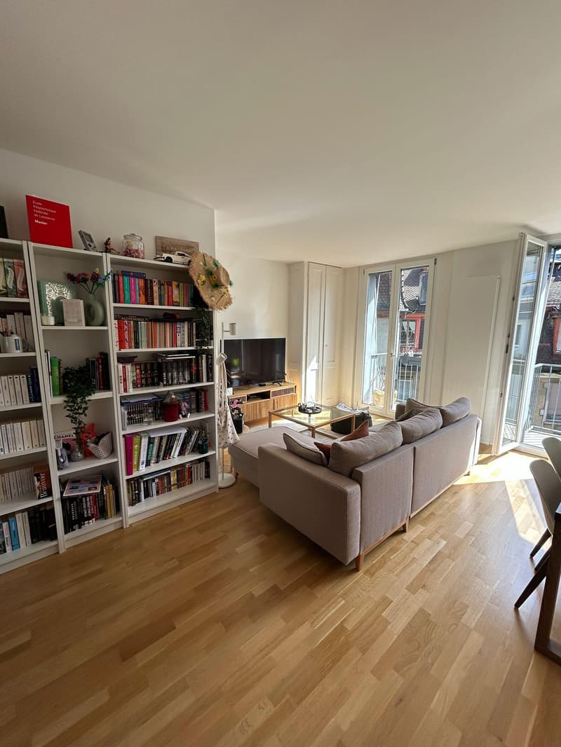 Charmant appartement au centre de Lausanne (2)