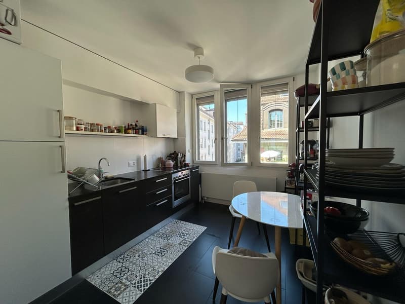 Charmant appartement au centre de Lausanne (6)