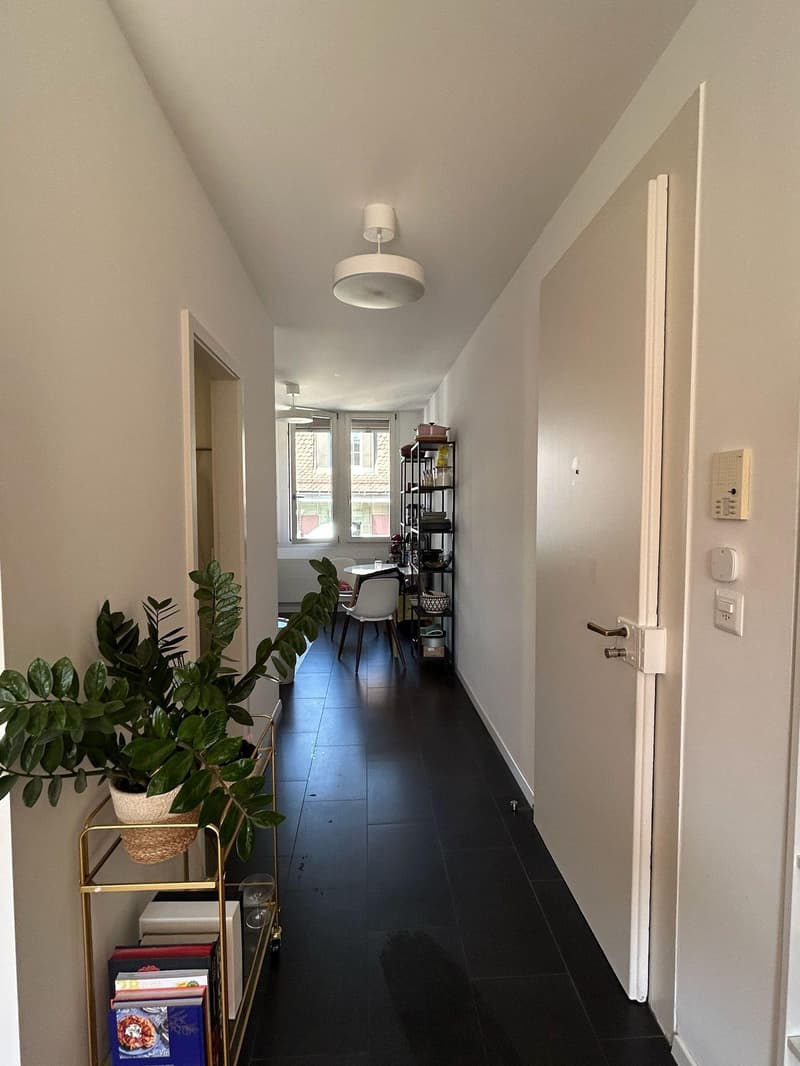 Charmant appartement au centre de Lausanne (8)