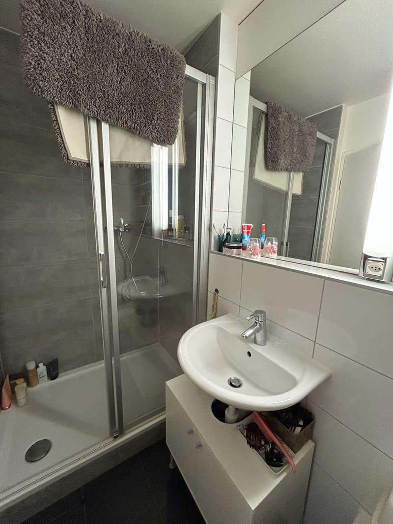 Charmant appartement au centre de Lausanne (7)
