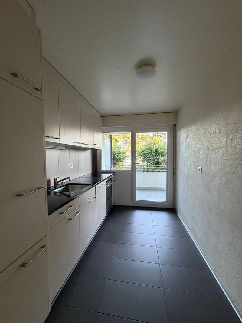 Charmant appartement à Coppet (3)