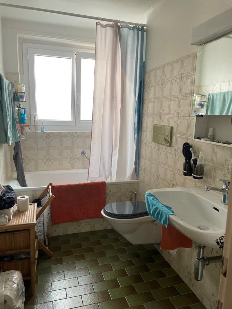 Charmant Appartement au coeur de Lausanne (4)