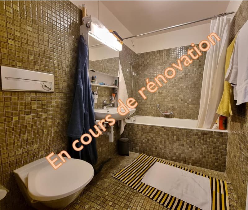 Appartement en plein centre de Lausanne (6)