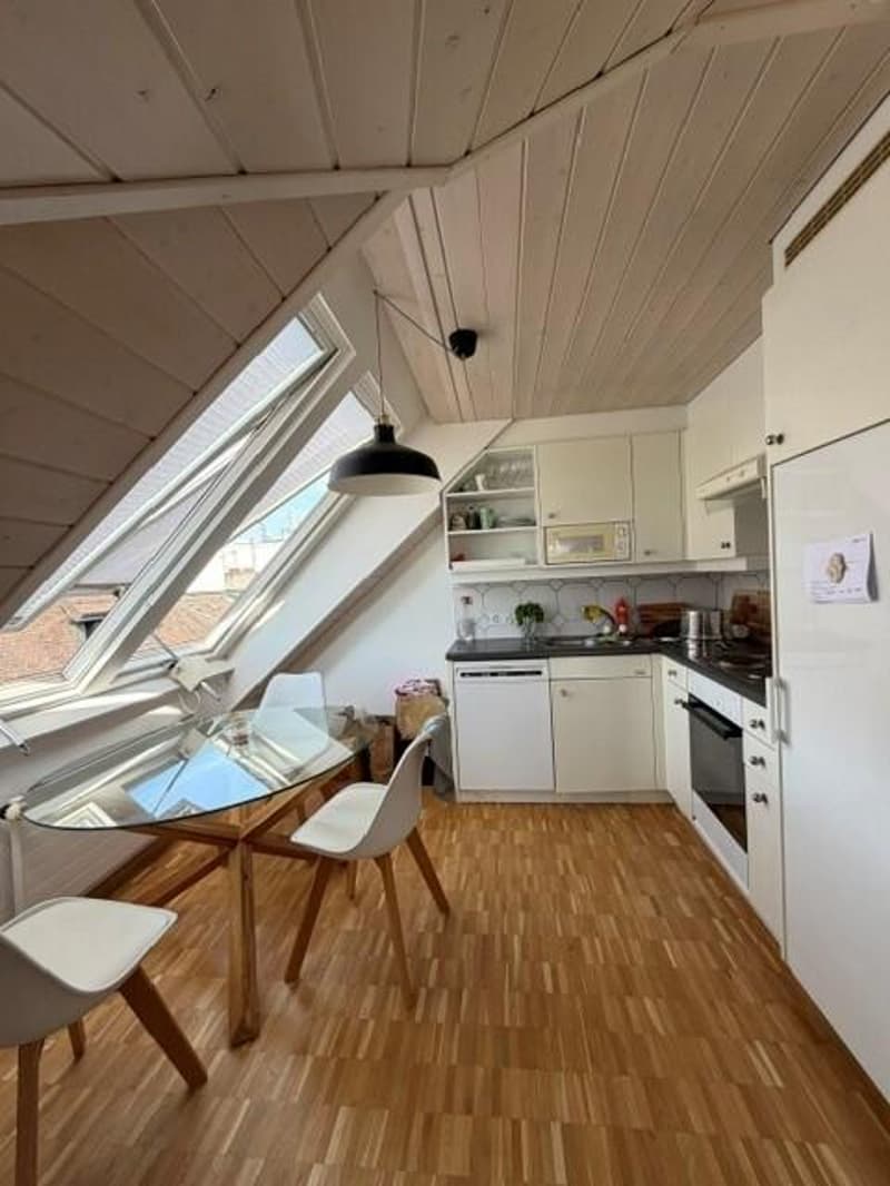 Bel appartement en plein centre-ville (3)