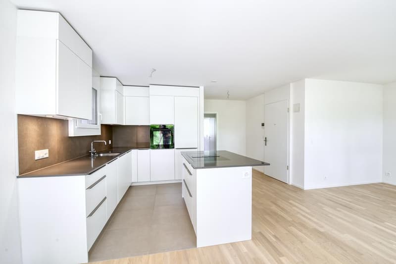 Charmant appartement à Cugy (4)