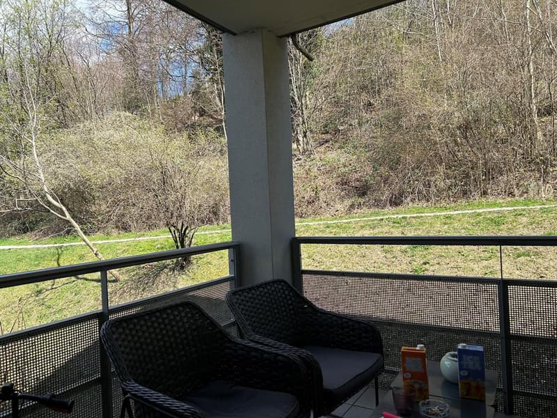 Charmant appartement à Pierrefleur (3)