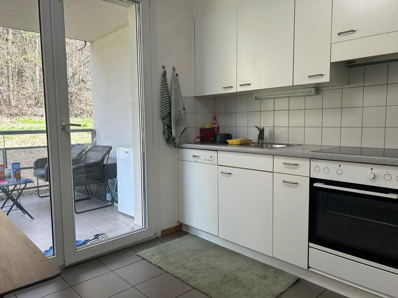 Charmant appartement à Pierrefleur (2)