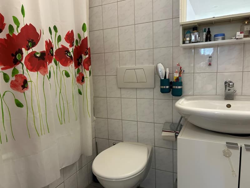 Charmant appartement à Pierrefleur (5)