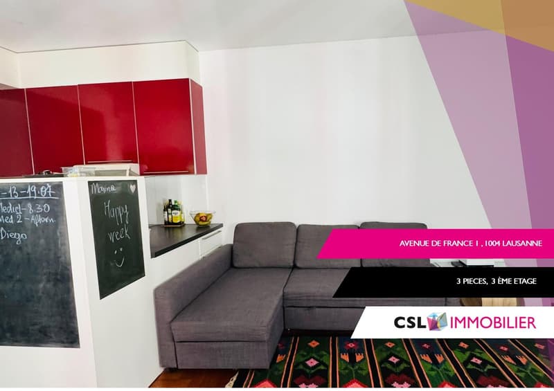 Charmant appartement au coeur de Lausanne (1)