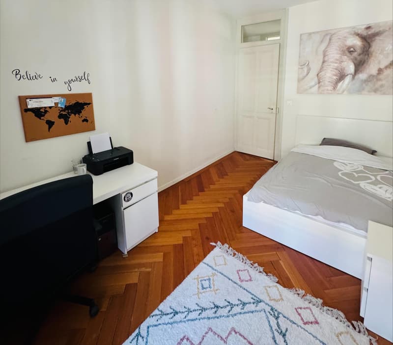 Charmant appartement au coeur de Lausanne (3)