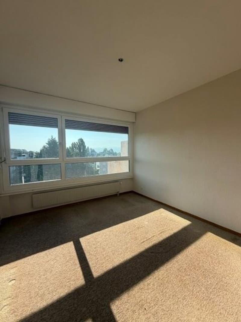 Charmant appartement à Nyon (8)