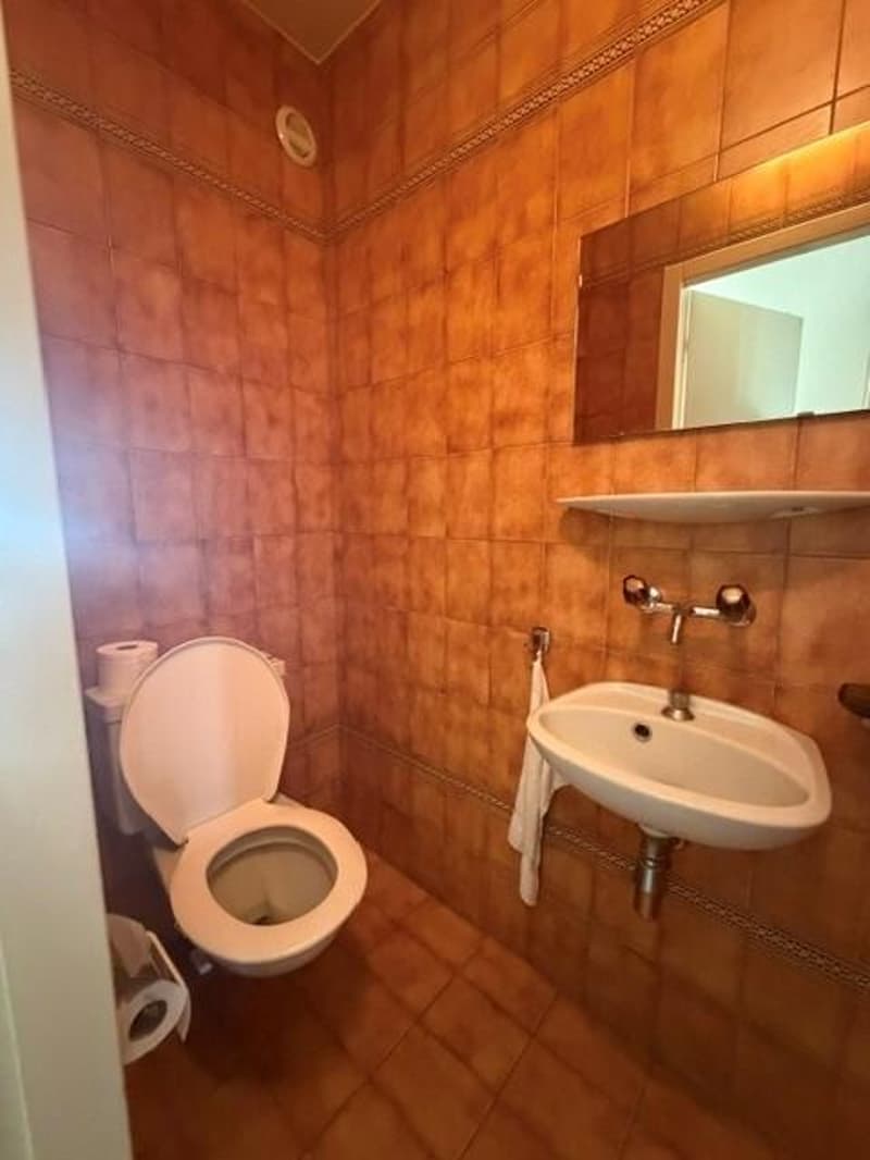 Charmant appartement à Nyon (6)