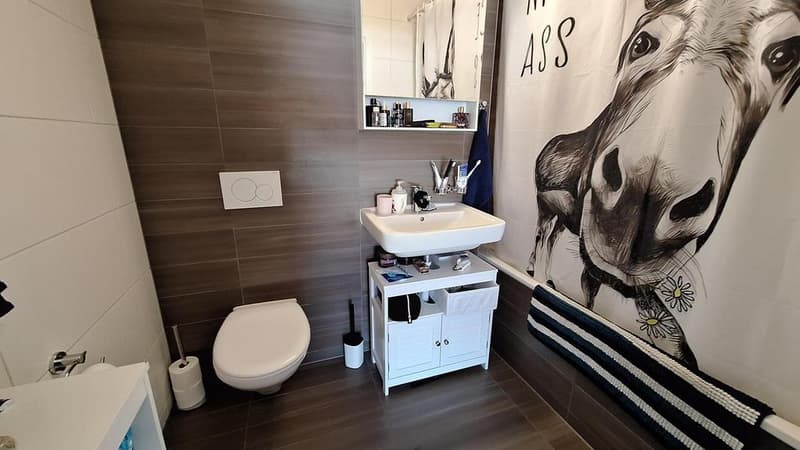 Bel appartement lumineux (4)