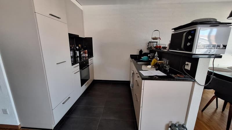 Bel appartement lumineux (5)