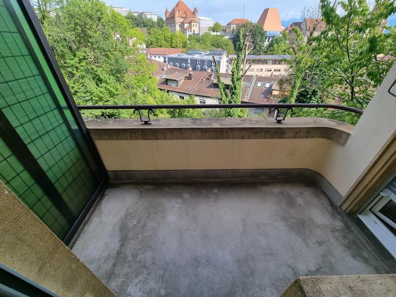 Charmant studio à Riant Mont (3)
