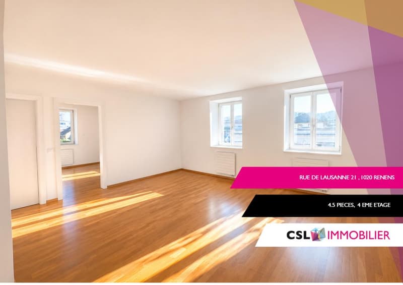 Agréable appartement à Renens (1)