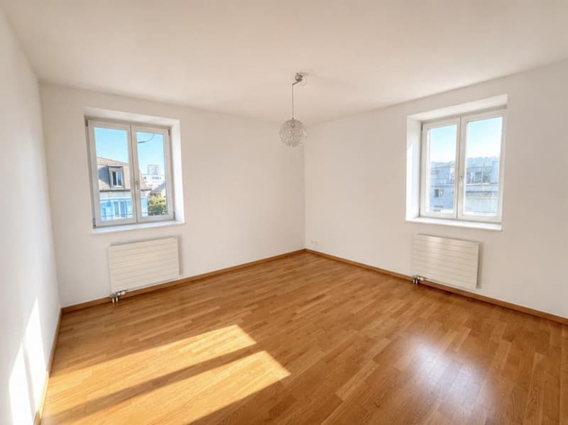 Agréable appartement à Renens (2)