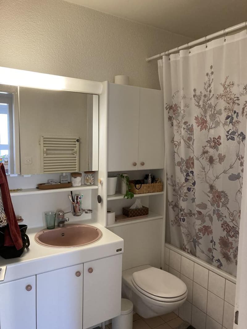 Charmant appartement proche de Ouchy (4)