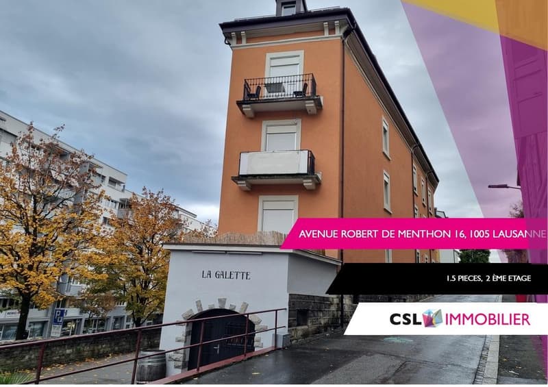 Charmant studio à Lausanne (1)