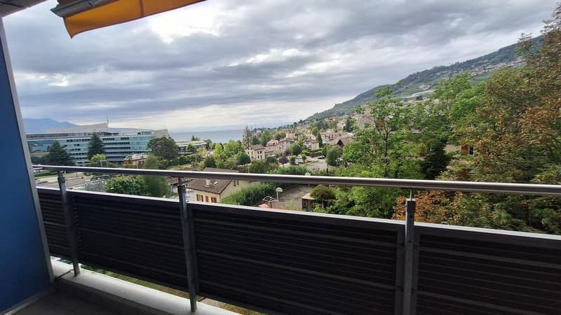 Charmant appartement à Corsier sur Vevey (2)