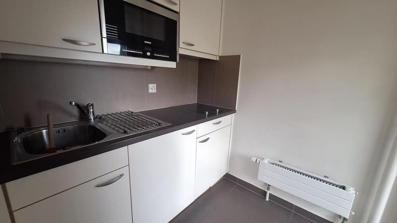 Charmant appartement à Corsier sur Vevey (5)