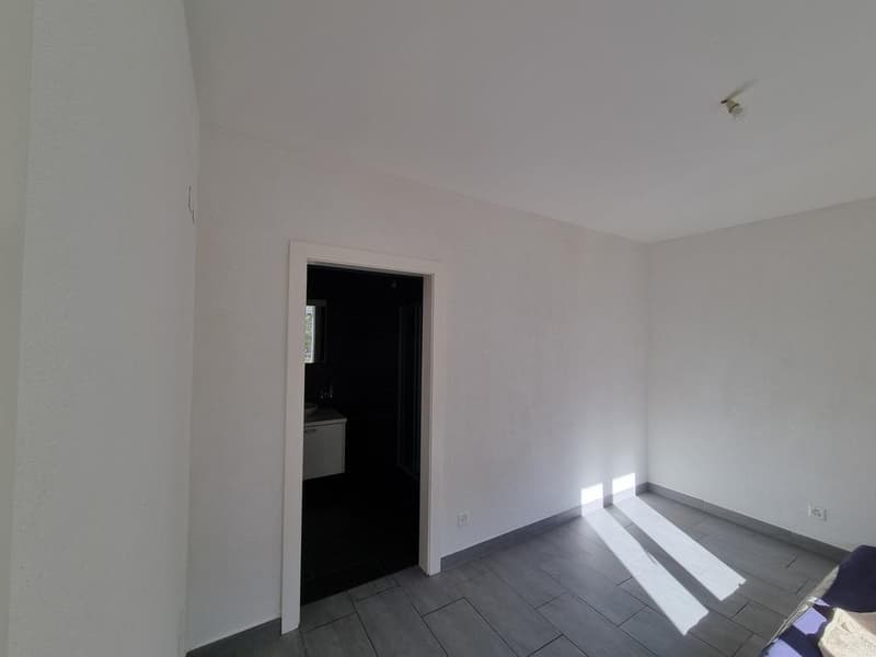 2.5 Appartement chambre Dans Lausanne (2)