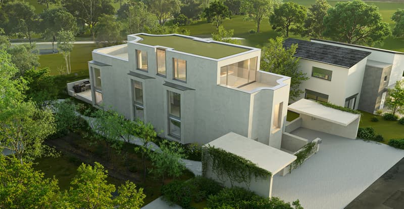 Exklusive 4.5-Zimmer-Erhöhte Residenz Wydens OME in Wiesendangen (7)