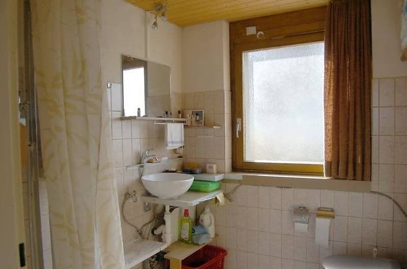 Kennel per cani con permesso di costruire ufficiale cerca successore (2)