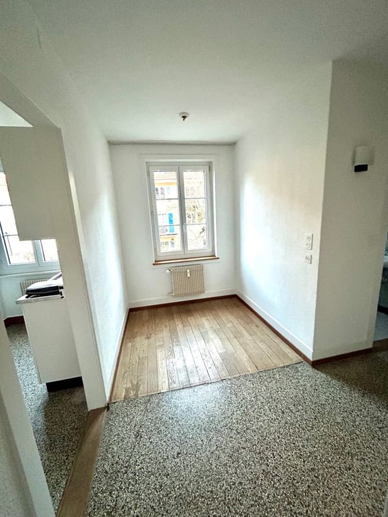 Ruhige  1.5-Zimmer-Wohnung im Inselquartier (2)