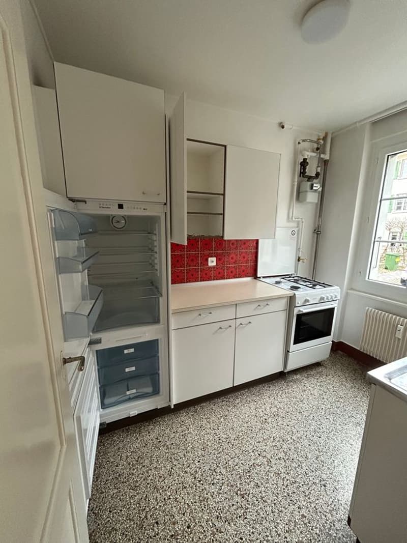 Ruhige  1.5-Zimmer-Wohnung im Inselquartier (3)