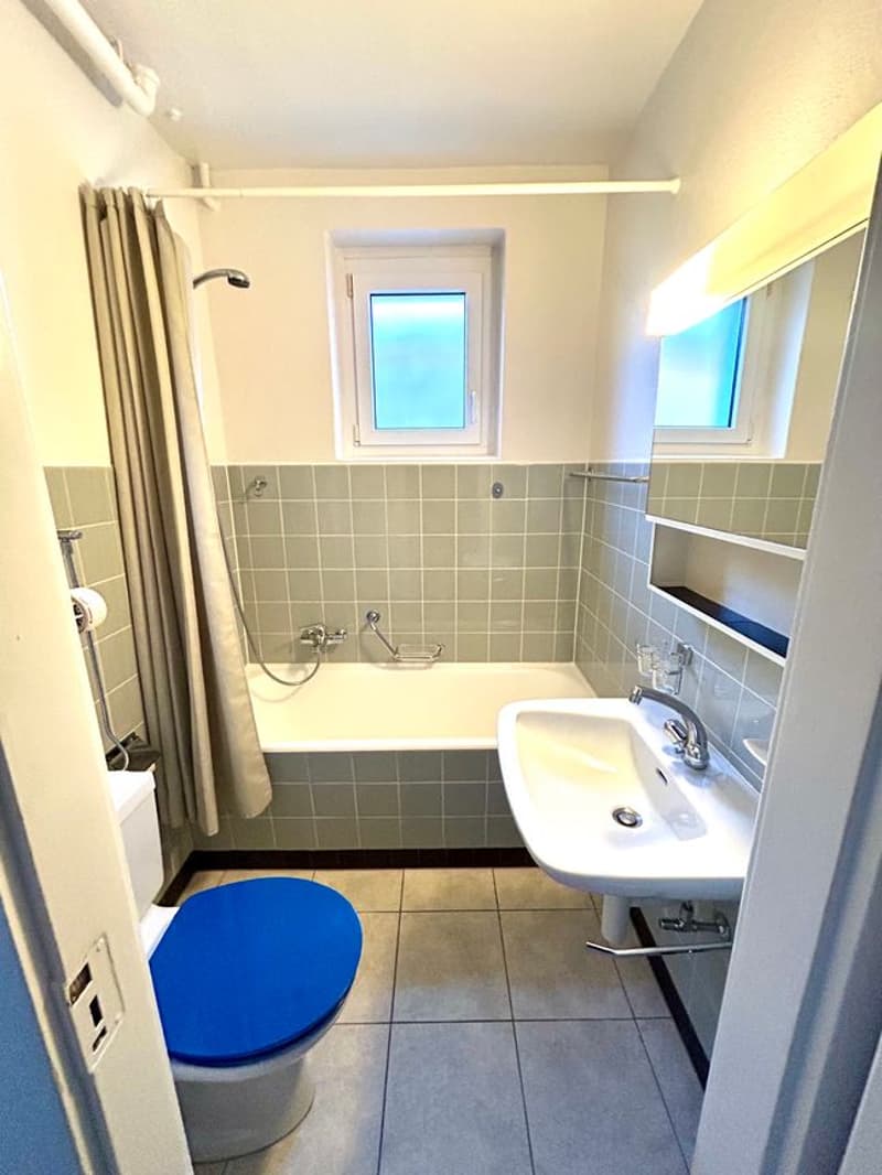 Ruhige  1.5-Zimmer-Wohnung im Inselquartier (4)