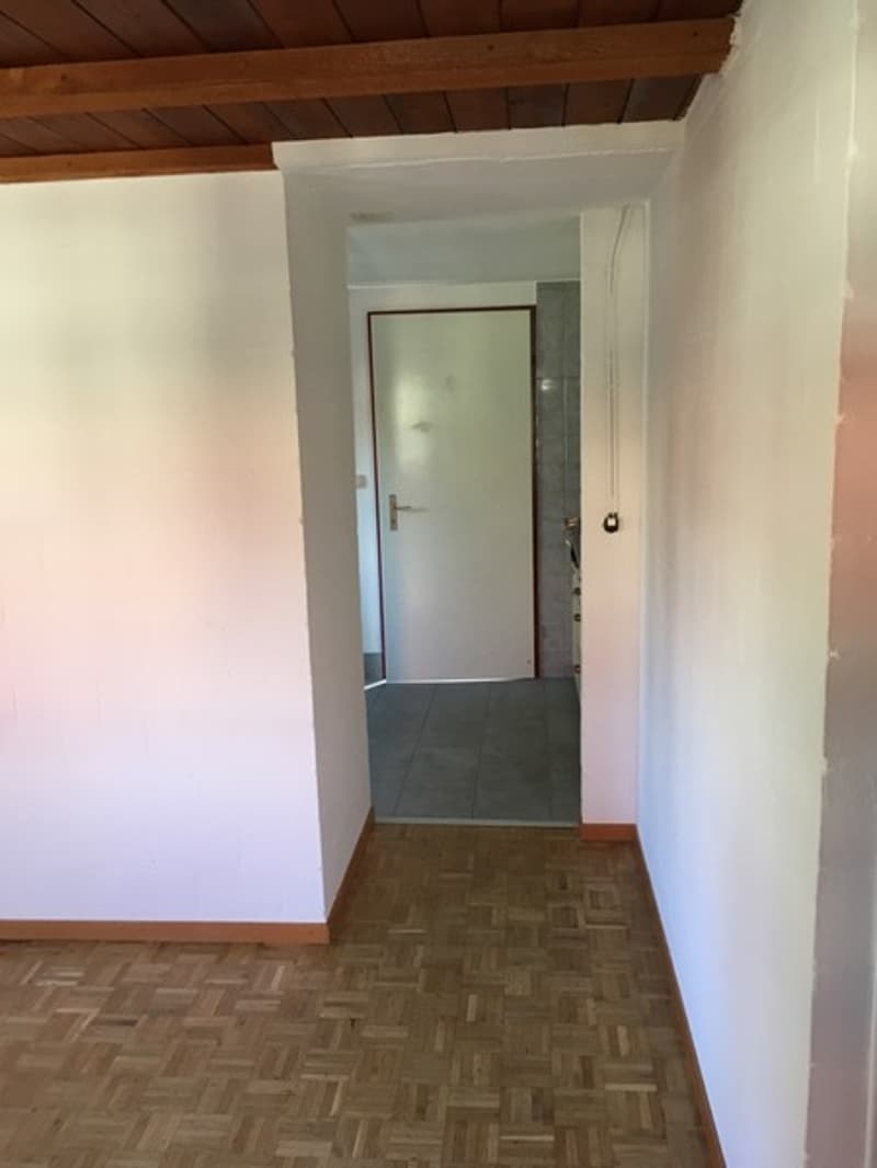 Einfaches 1-Zimmer-Studio in Langenthal mit Gartenmitbenutzung und Parkplatz (5)