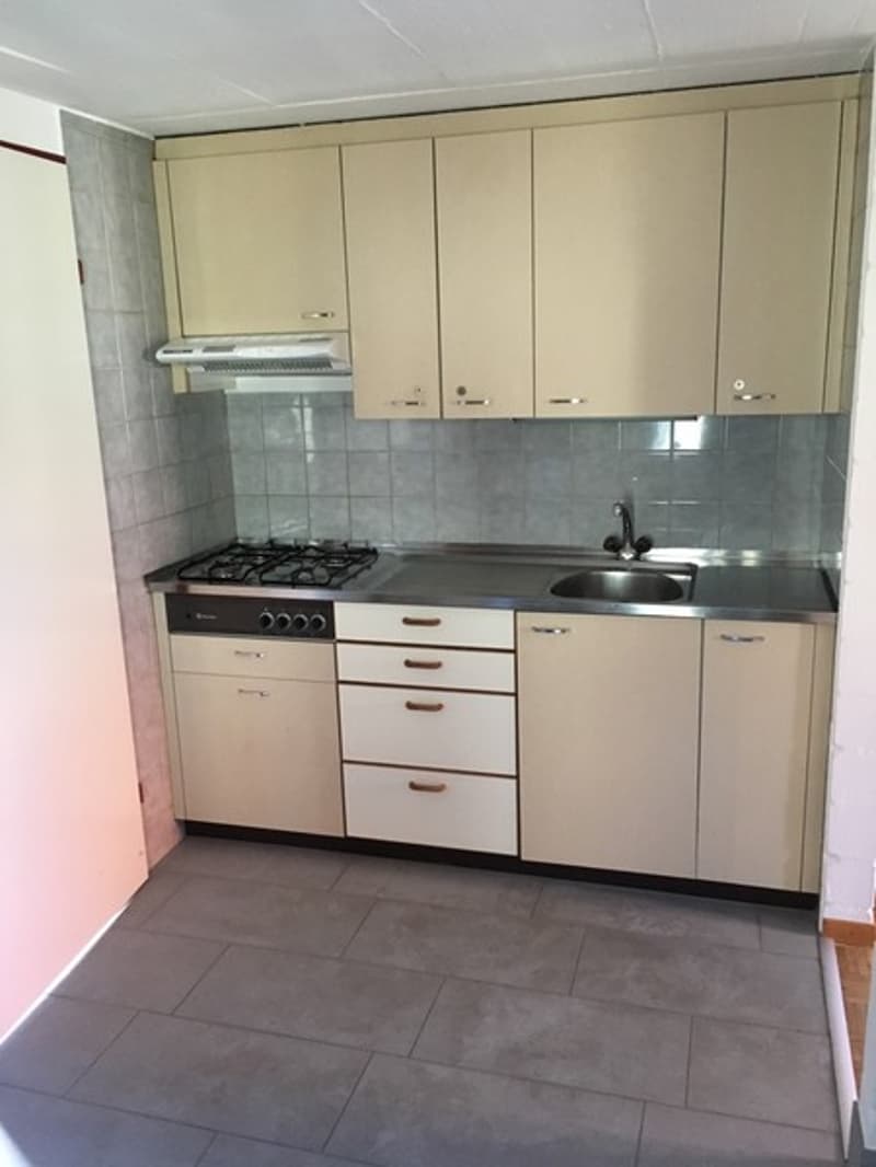 Einfaches 1-Zimmer-Studio in Langenthal mit Gartenmitbenutzung und Parkplatz (2)