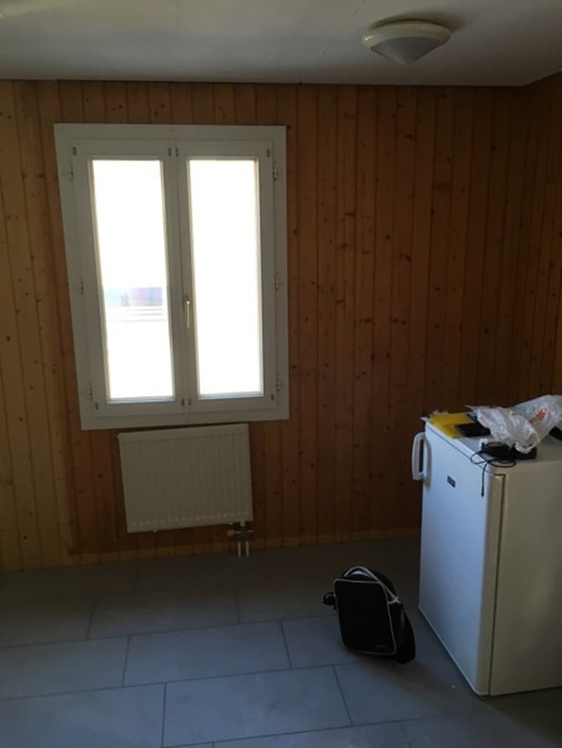 Einfaches 1-Zimmer-Studio in Langenthal mit Gartenmitbenutzung und Parkplatz (4)