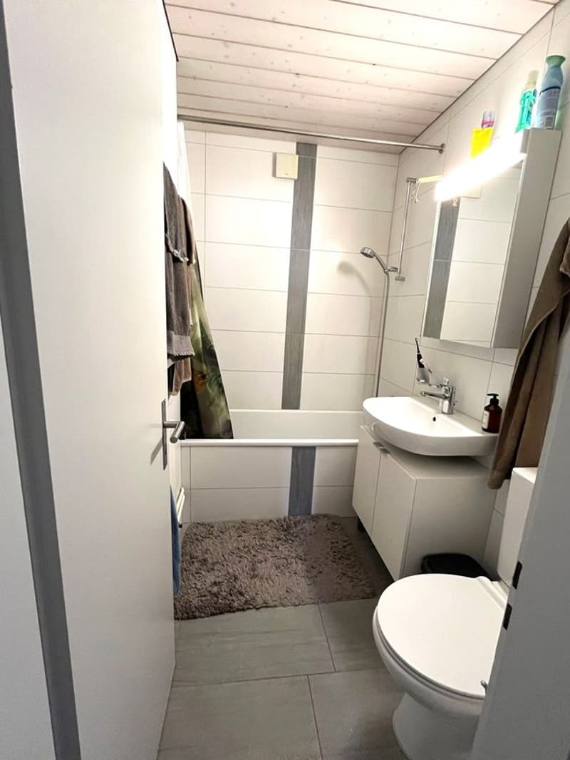 Wohnung mit Elektroladestation 4.5-Zimmer-Wohnung mit grosser Terrasse (11)