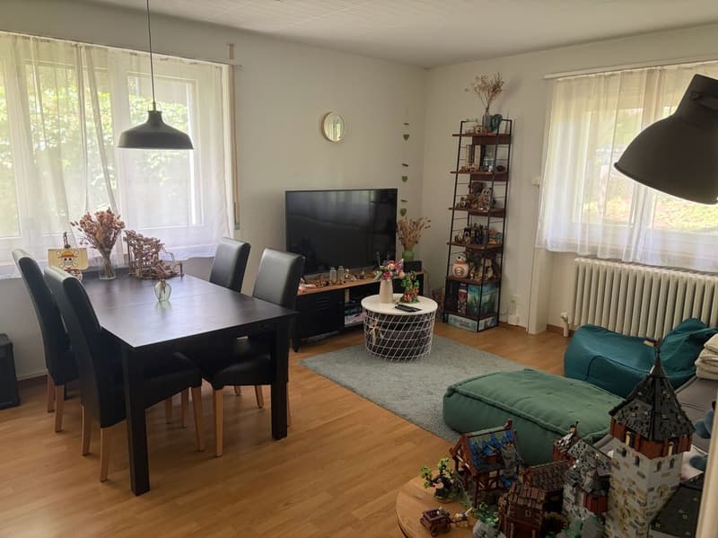 Charmante 3-Zimmer-Wohnung an der Beaulieustrasse in Bern (5)