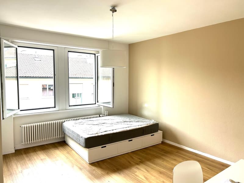 Charmante 1-Zimmer-Wohnung mit Gartenmitbenutzung am Rosenweg (2)