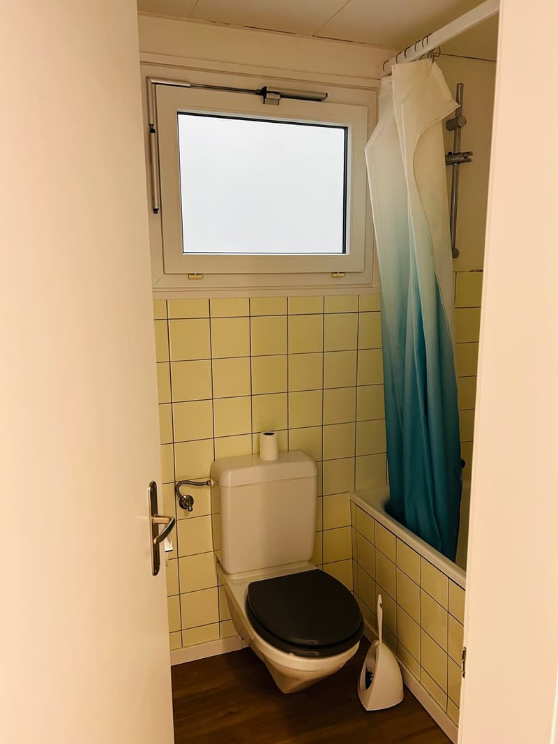 Charmante 1-Zimmer-Wohnung mit Gartenmitbenutzung am Rosenweg (5)
