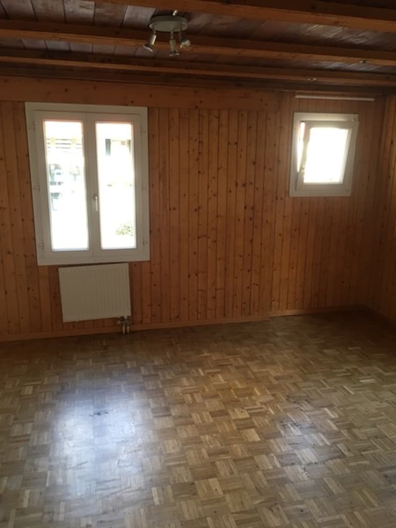 Einfaches 1-Zimmer-Studio in Langenthal mit Gartenmitbenutzung (3)