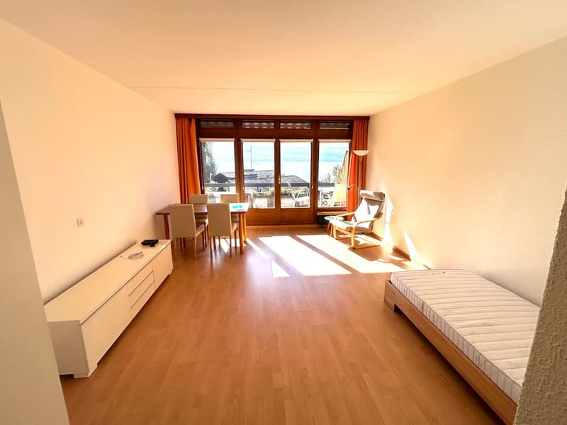 1-Zimmer-Apartment mit Seeblick in Gunten (2)