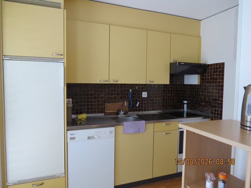 Sonnige 2.5-Parterre-Wohnung mit  gepflegtem Aussenbereich (4)