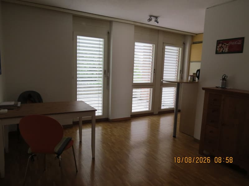 Sonnige 2.5-Parterre-Wohnung mit  gepflegtem Aussenbereich (5)